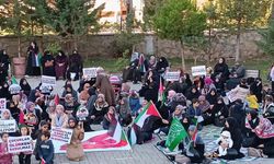 Van'da kadınlardan Gazze'de hayatını kaybedenler için sessiz oturma eylemi
