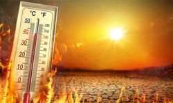 2023 kayıtlardaki en sıcak yıl olabilir