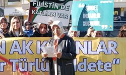 AK Parti Van İl Kadın Kollarından 'karalıyız' mesajı
