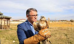 Vali Balcı, tedavisi tamamlanan kuşu doğaya saldı