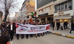 Van’da Filistin için yürüyüş düzenlendi
