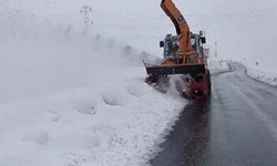 Yüksekova-Şemdinli kara yolu ulaşıma açıldı
