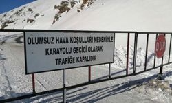 Van'da o yol trafiğe kapatıldı!