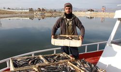 Erçek Gölü'ndeki inci kefali bolluğu balıkçıları sevindirdi