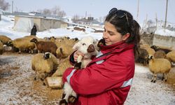 Van'daki veteriner hekimler ağır kış koşullarında hayvanların tedavisini aksatmıyor