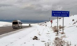 Van'ın yüksek kesimlerinde kar yağışı etkili oldu