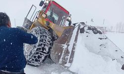 Van'da kurtarma çalışması sırasında iş makinesi kara saplandı