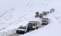 Van’da kar yağışı etkili oldu! 492 yerleşim yerinin yolu kapandı