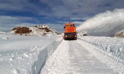 Kar yağışı Van’da etkili oldu! 429 yerleşim yerinin yolu kapandı