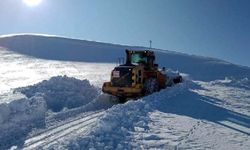 Van’da 451 yerleşim yerinin yolu ulaşıma kapandı