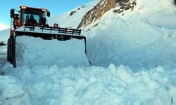 Van'da kar nedeniyle kapanan yollar açılıyor