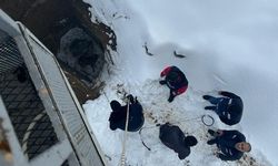 Van’da kuyuya düşen köpeği itfaiye ekipleri kurtardı