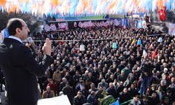 AK Parti Erciş'te gövde gösterisi yaptı!