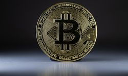 Bitcoin'in fiyatı en yüksek seviyeye çıktı
