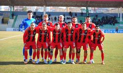 Van Spor Kırklarelispor’u konuk edecek