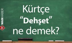 Kürtçe Dehşet ne demek? Kürtçe - Türkçe çeviri ve sözlük