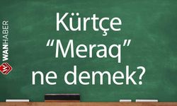 Kürtçe Merak ne demek? Kürtçe - Türkçe çeviri ve sözlük