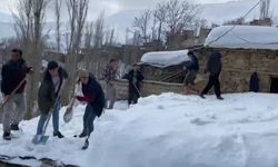 Van-Bahçesaray karayolu 2 aydır kardan dolayı kapalı