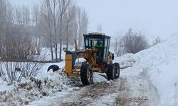 Kar Van'da etkili oluyor: 129 yerleşim yerinin yolu ulaşıma kapandı