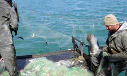 Van Balığı için 3 aylık av yasağı başladı