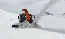 Ekipler Bahçesaray'da 3 ila 5 metre karla mücadele ediyor