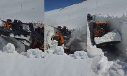 Van-Bahçesaray kara yolunda ekiplerin karla mücadelesi