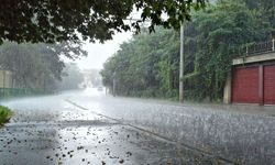 Van’da yağmur bekleniyor mu? İşte meteoroloji verileri…