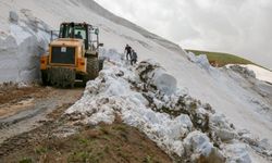 Van'da 3 bin 200 rakımlı yayla yolunda karla mücadele