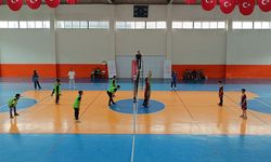 Bahçesaray'da okullar arası voleybol turnuvası düzenlendi