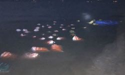 Van’da 3 ton kaçak avlanmış balık ele geçirildi