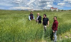 Van’da tohum ekim alanları incelendi