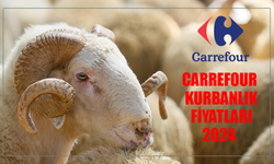 CARREFOURSA KURBANLIK FİYATLARI 2024: Kurban Bayramı'na Özel Fırsatlar! Carrefour Kurban Nasıl Alınır?