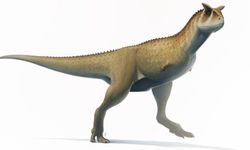 Şaşırtıcı Keşif: Neredeyse Yok Gibi Kollara Sahip Dinozor Bulundu!
