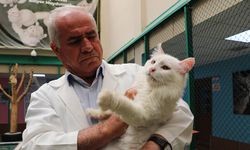 Van Kedi Villası’nın 'Muhtar’ı 18 yaşında