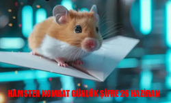 26 Haziran Hamster Kombat Kombo Kartları  Hamster Kombat Daily Kombo 2024!