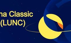 LUNA Classic Neden Düştü, Düşüyor? 2024