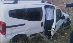 Van'da hafif ticari araç kontrolden çıktı: 1 yaralı