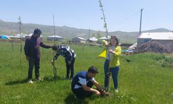 Van’da tohum ve fidanların bakımı yapıldı