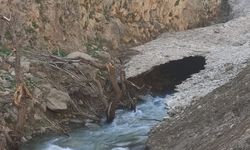 Van'da kaybolan 4 yaşındaki çocuk için ekipler alarma geçti