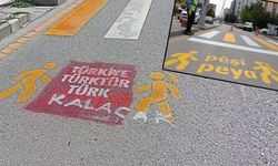 Van'da Kürtçe trafik uyarılarının üzerine 'Türkiye Türk’tür, Türk kalacak' yazıları yazıldı
