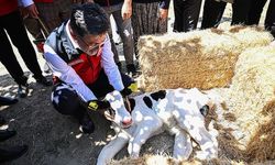 Bakan Yumaklı: Hayvancılık desteğinde yeni bir sistemi hayata geçiriyoruz