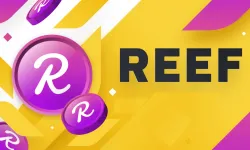 Reef Coin Düşüyor, Neden? 2024 Yorumları