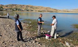 Van'da Şaşırtıcı Denetim! Sıhke Gölü'nde Amatör Balıkçılara Yönelik Denetim  Başlatıldı