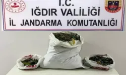 Iğdır’da 33 Kilo Uyuşturucu Madde Ele Geçirildi!