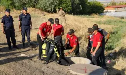 Otopsi Sonuçları Narin Güran'ın Ölümüyle İlgili  Detaylar Ortaya Çıktı!