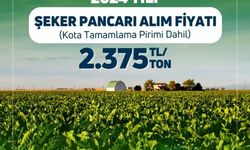 2024 Yılı Şeker Pancarı Alım Fiyatı Belli Oldu!