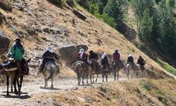 Vanlı Kadınların Hayatta Kalma Mücadelesi: Zorlu Yolculuk ve Efsanevi Dayanıklılık!