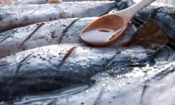 En Güçlü Omega-3 Kaynağı; Alzheimer’ın Doğal İlaç Kaynağı! Hafızayı Çakı Gibi Yapıyor!