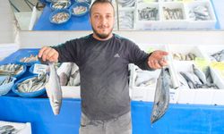 Van’da balığa yoğun ilgi! İşte en çok tercih edilen balık çeşitleri