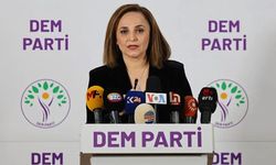 DEM Parti’den Ahmet Özer açıklaması